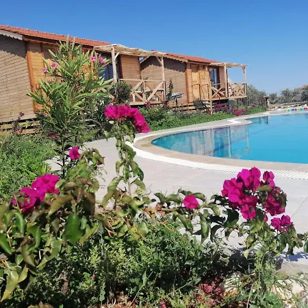 Alloggio in famiglia Habesa Bungalov *