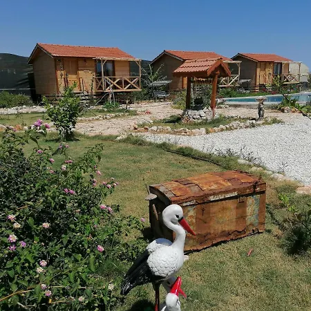 Alloggio in famiglia Habesa Bungalov