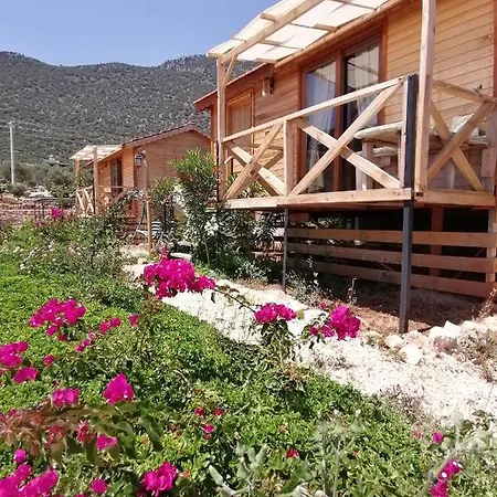 Habesa Bungalov * Belenli